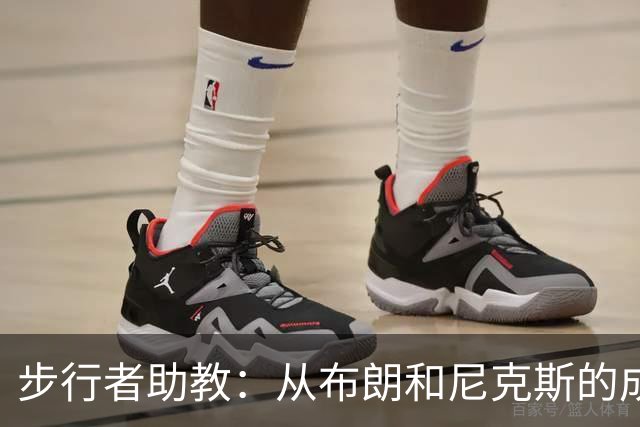 步行者助教：从布朗和尼克斯的成功来看 球队对主帅的支持很重要