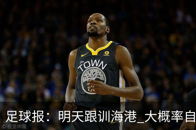 足球报：明天跟训海港 大概率自由身加盟 外援要补强