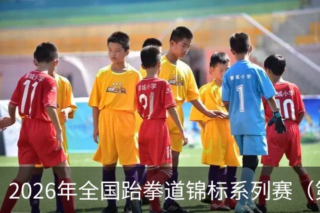 2026年全国跆拳道锦标系列赛（第二站）在广州举行