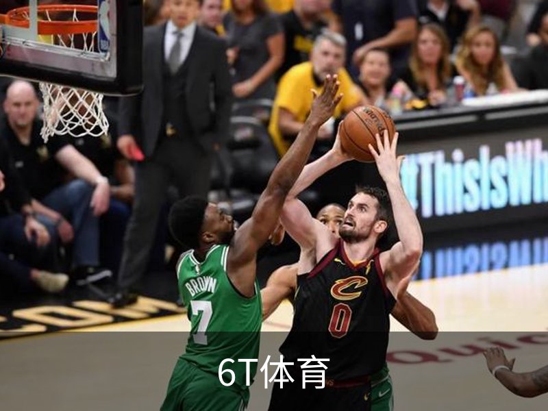 6T体育概况